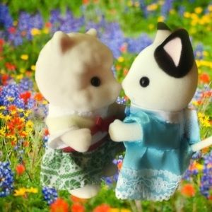 Meet your Posher, Olivia